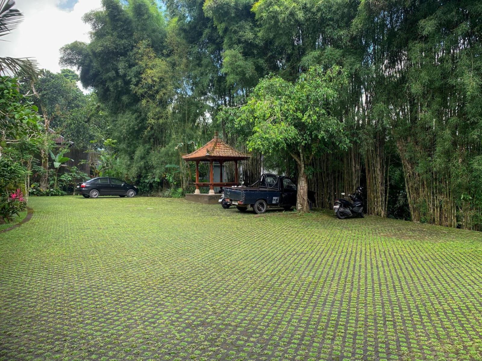 Senetan Villas And Spa Resort Убуд Экстерьер фото